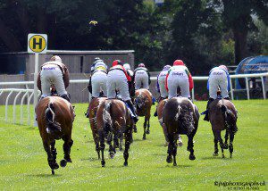 NewtonAbbotRaces1308 280wm