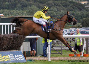 NewtonAbbotRaces1308 377wm