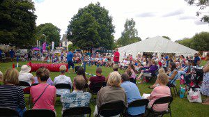 Dog Agility Display.
