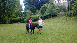 Shetland Pony rides.