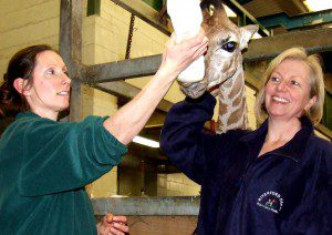 Eliska enjoying her milk Photo Credit: Paignton Zoo