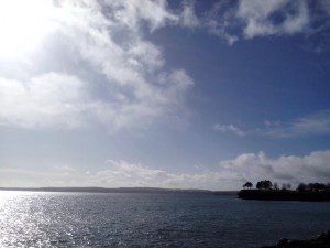 The person was recovered from the sea off Torquay