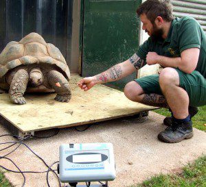 Photo: Paignton Zoo