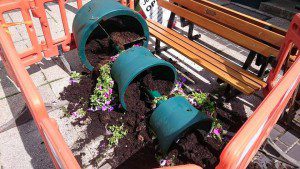 Vandals knocked over the planters