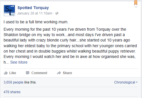 Spotted Torquay