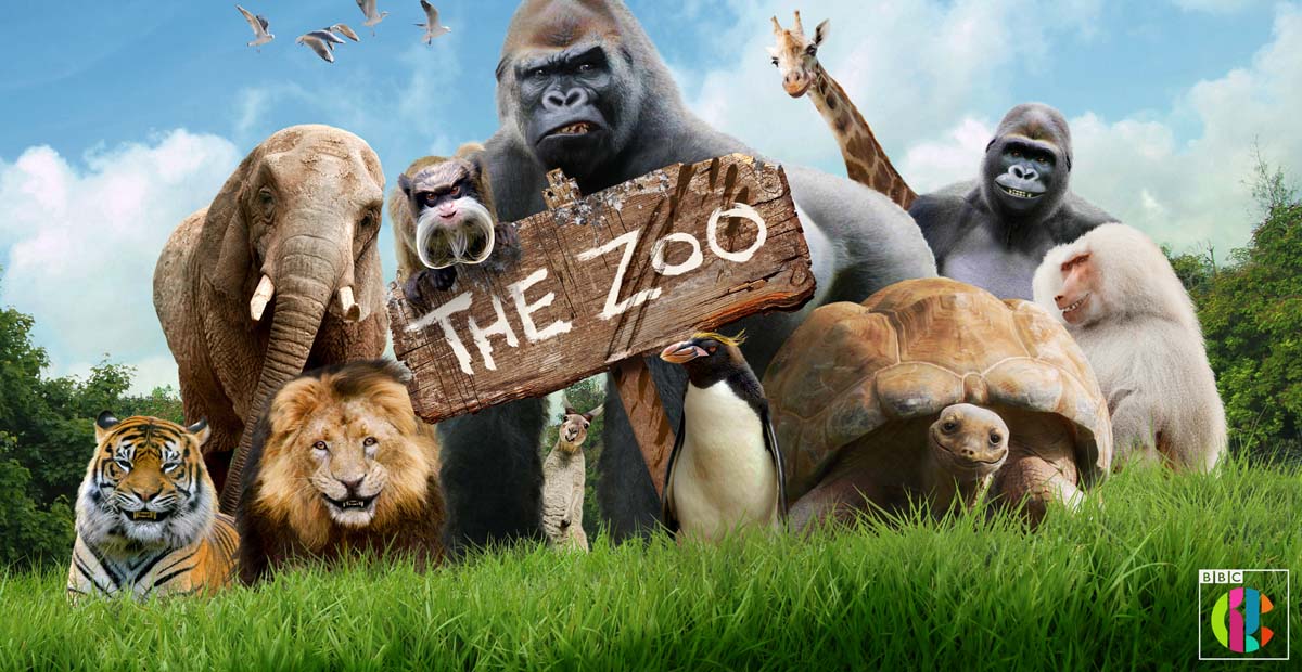 Paignton Zoo animals are the stars of new TV show - We Are South Devon