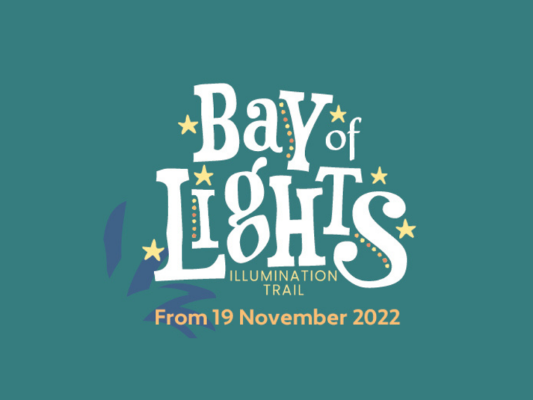 Lighting up Torquay this Christmas with the Bay of Lights Illumination ...